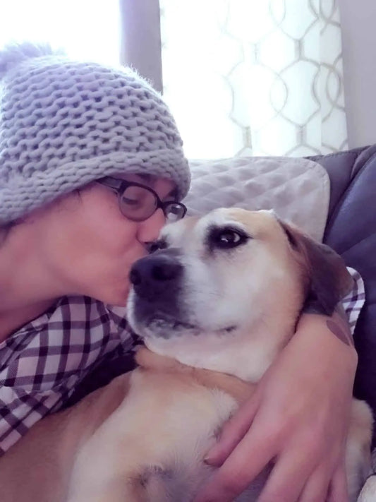 6 Difficult Stages of Grieving a Lost Pet