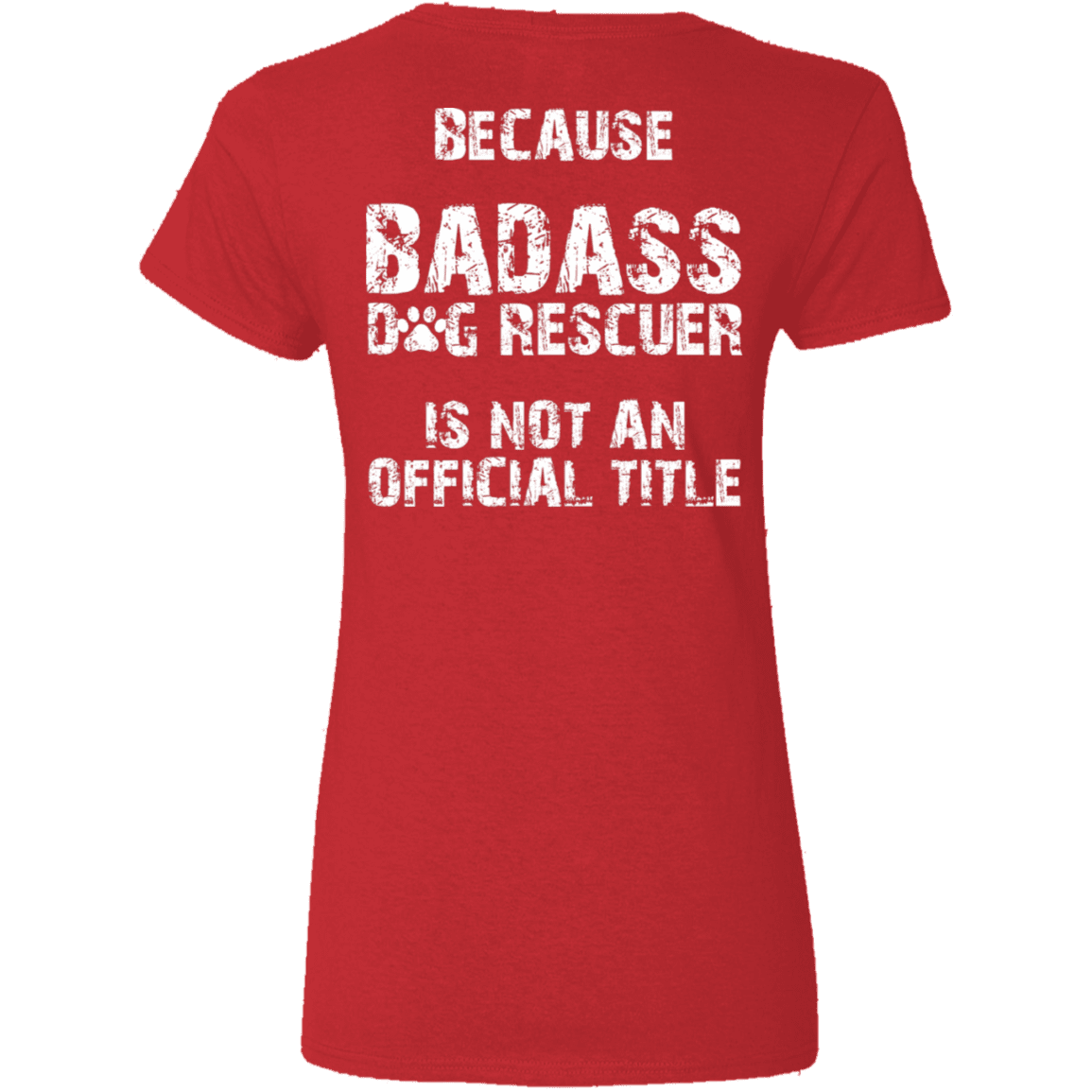 bdmv Rescuers Club