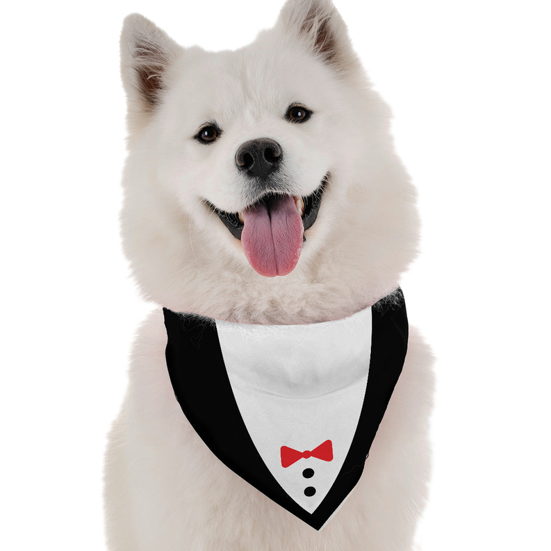 Dog Bandanas