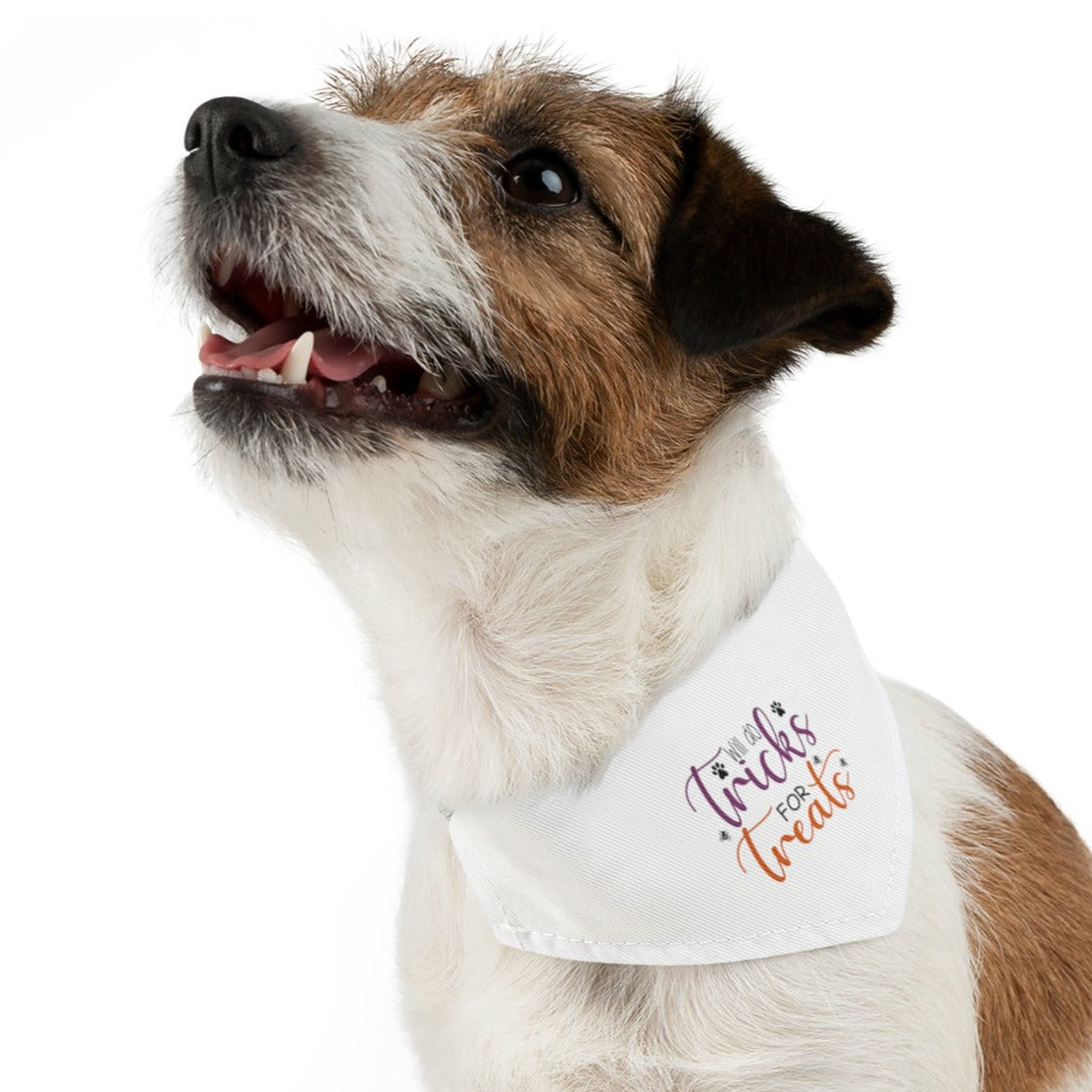 Will Do Tricks for Treats Dog Halloween Dog Pet Bandana Collar
