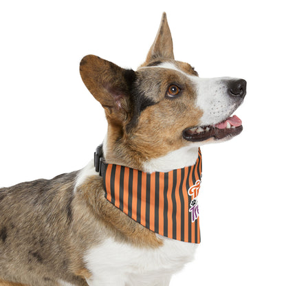 Tricks Fur Treats Dog Halloween Dog Pet Bandana Collar