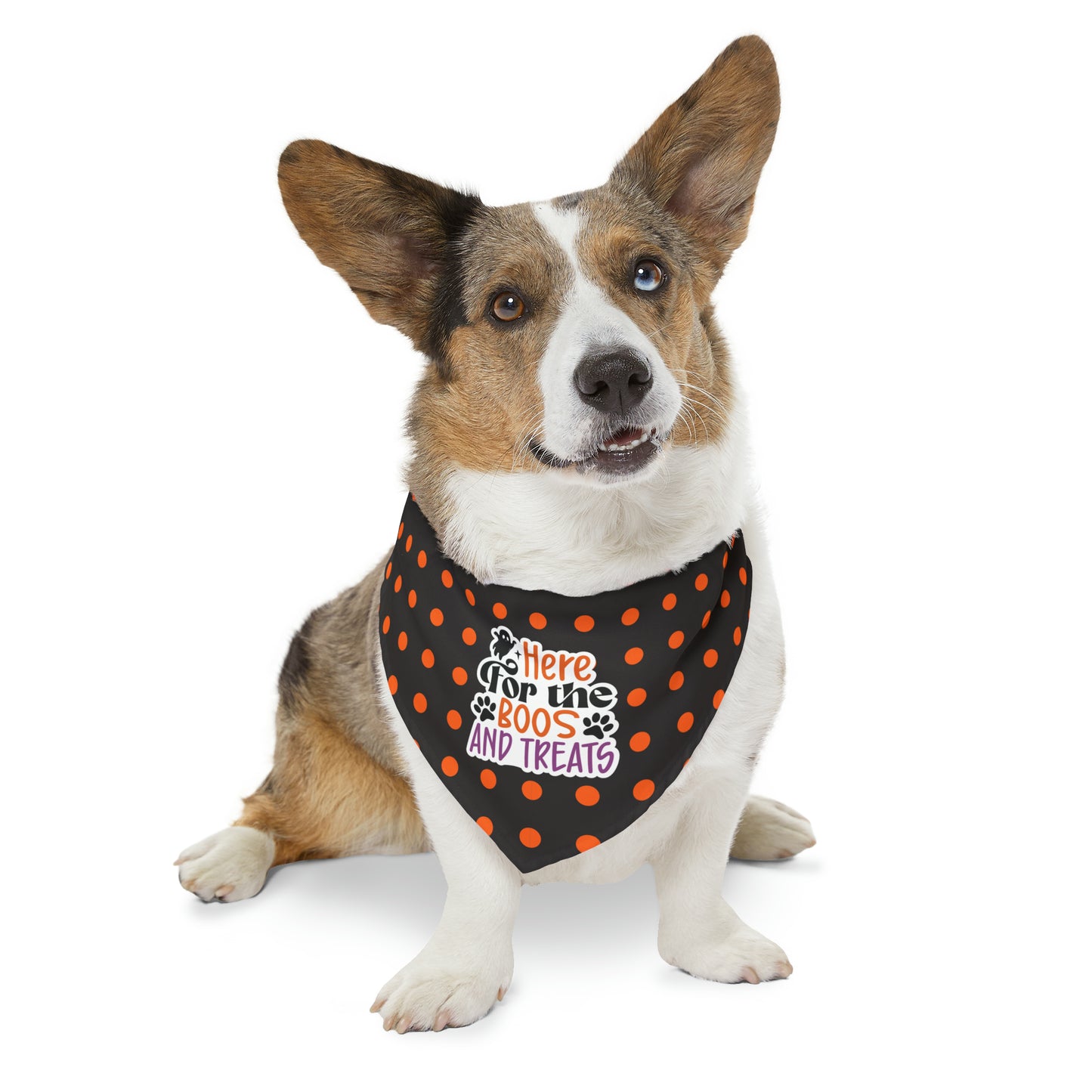 Here for the Boos and Treats Dog Halloween Dog Pet Bandana Collar