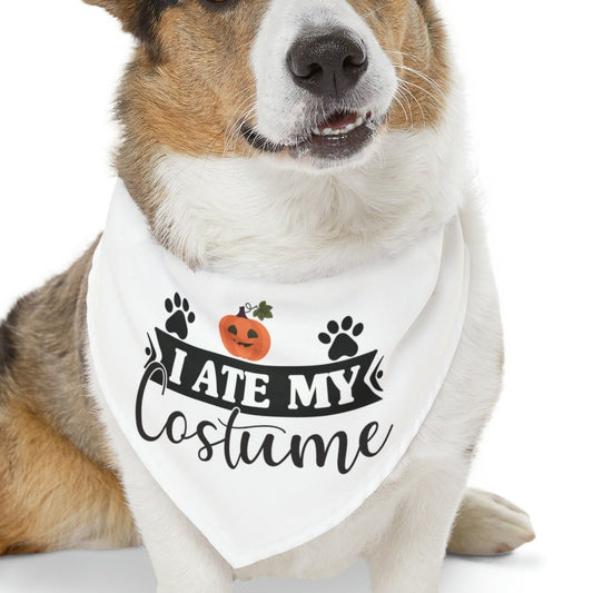 I Ate My Costume Dog Halloween Pet Bandana Collar