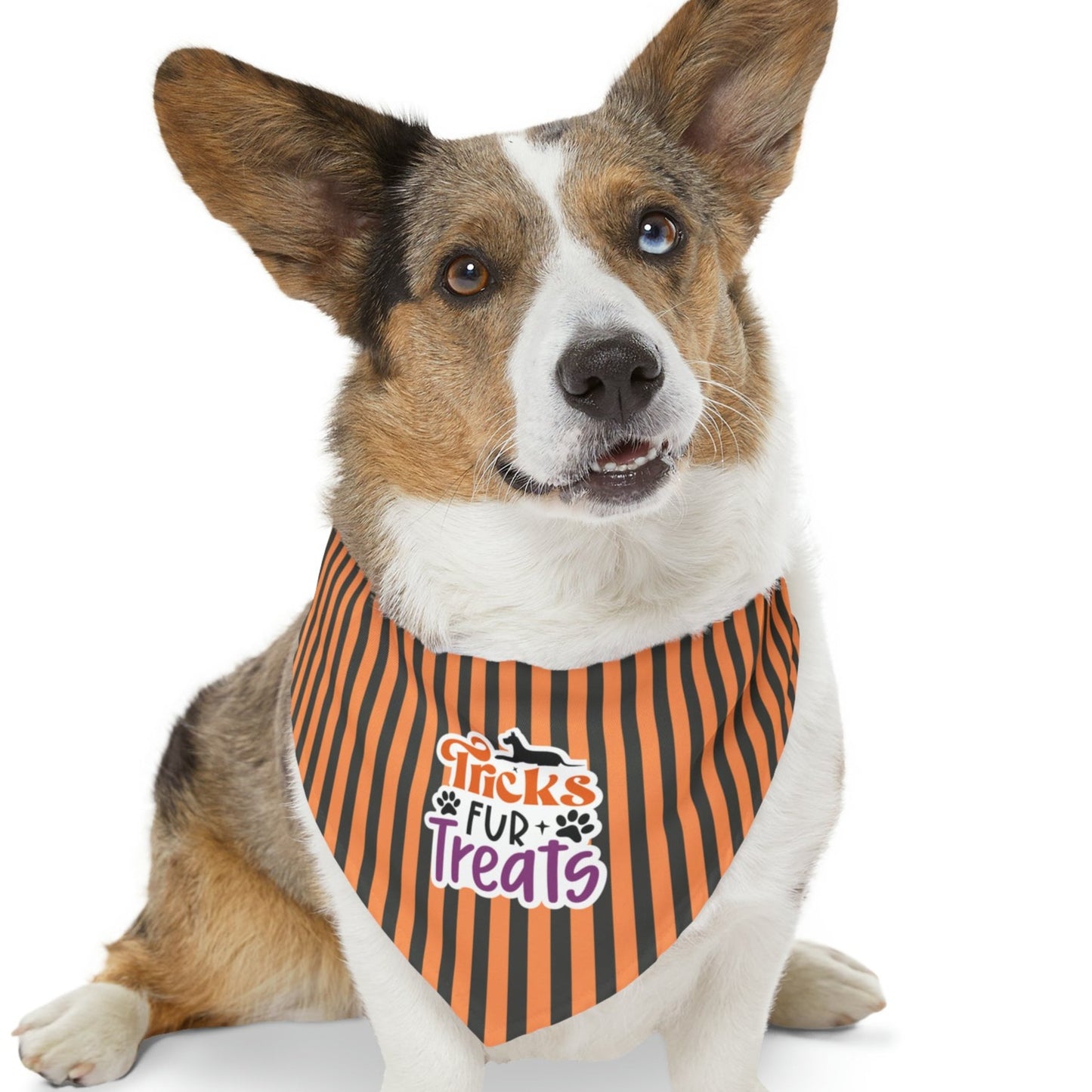 Tricks Fur Treats Dog Halloween Dog Pet Bandana Collar