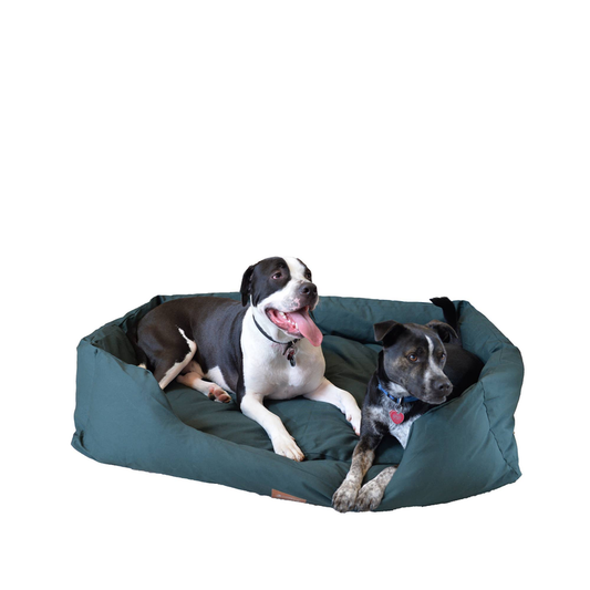 Armarkat Anti-Slip Bolstered Dog Bed