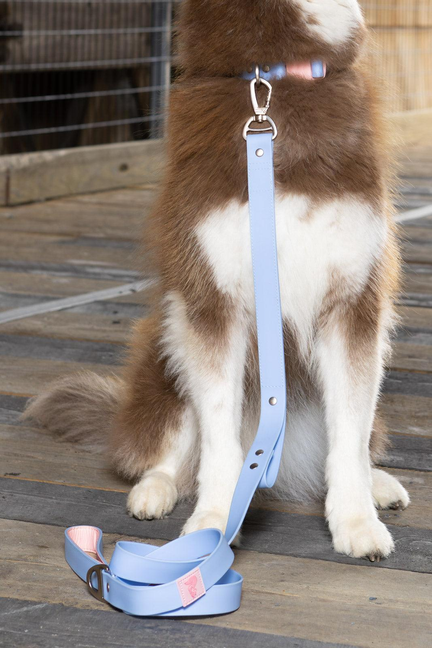 Blue Sky Orchid Waterproof Dog Leash