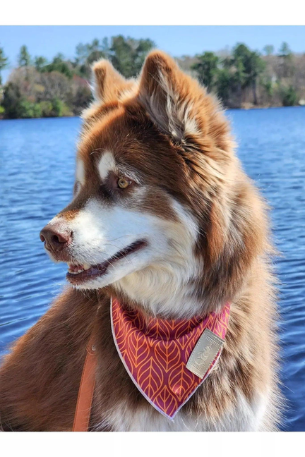 Twilight Trails Dog Bandana & Matching Keychain