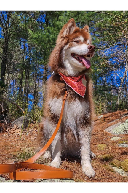 Twilight Trails Dog Bandana & Matching Keychain