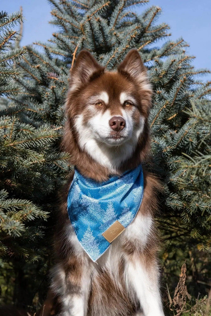 Siberian Spruce Dog Bandana & Matching Keychain