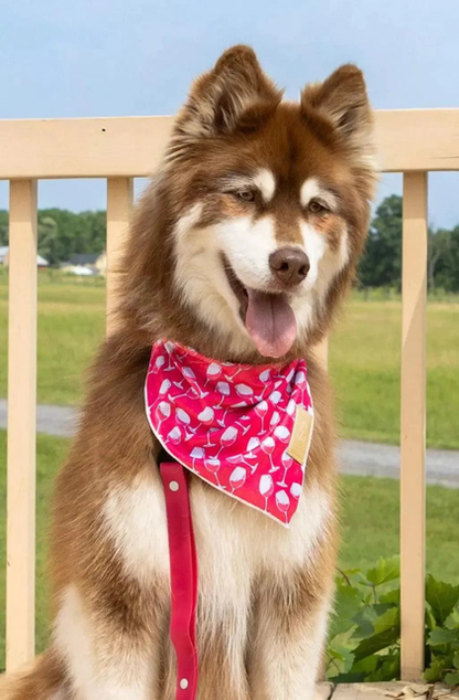 Red Mountain Syrah Dog Bandana & Matching Keychain