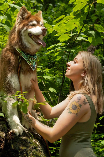 Magical Fern Forest Dog Bandana & Matching Keychain