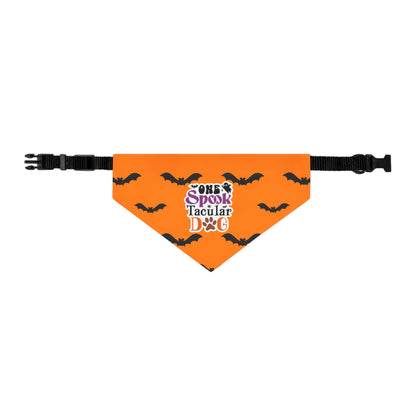 One Spook Tacular Dog Bats Halloween Pet Bandana Collar