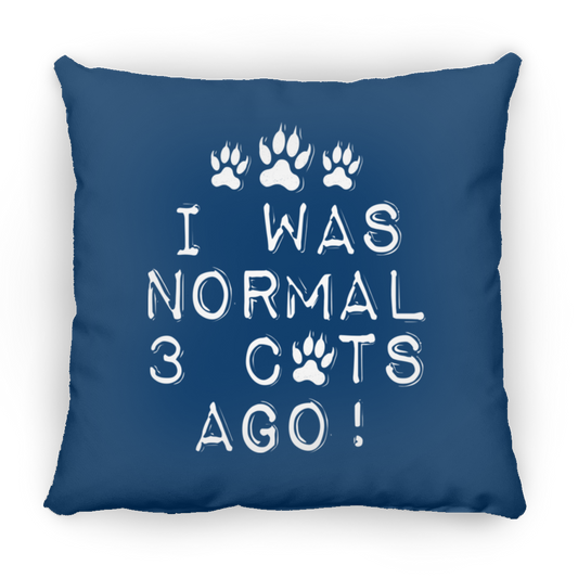I Was Normal Cats - Large Square Pillow