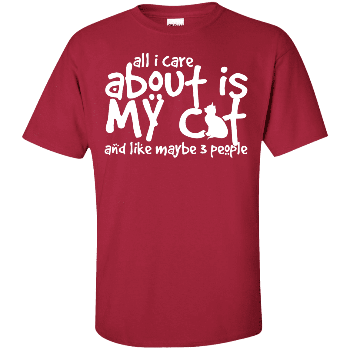 All I Care About Is My Cat - T Shirt.