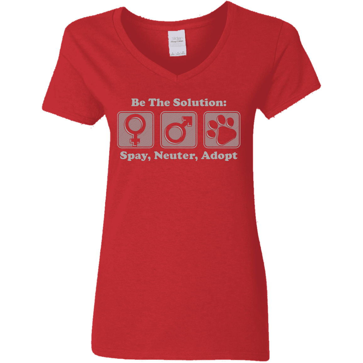 Be The Solution - Ladies V Neck.