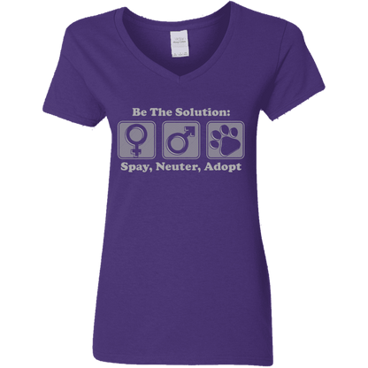 Be The Solution - Ladies V Neck.