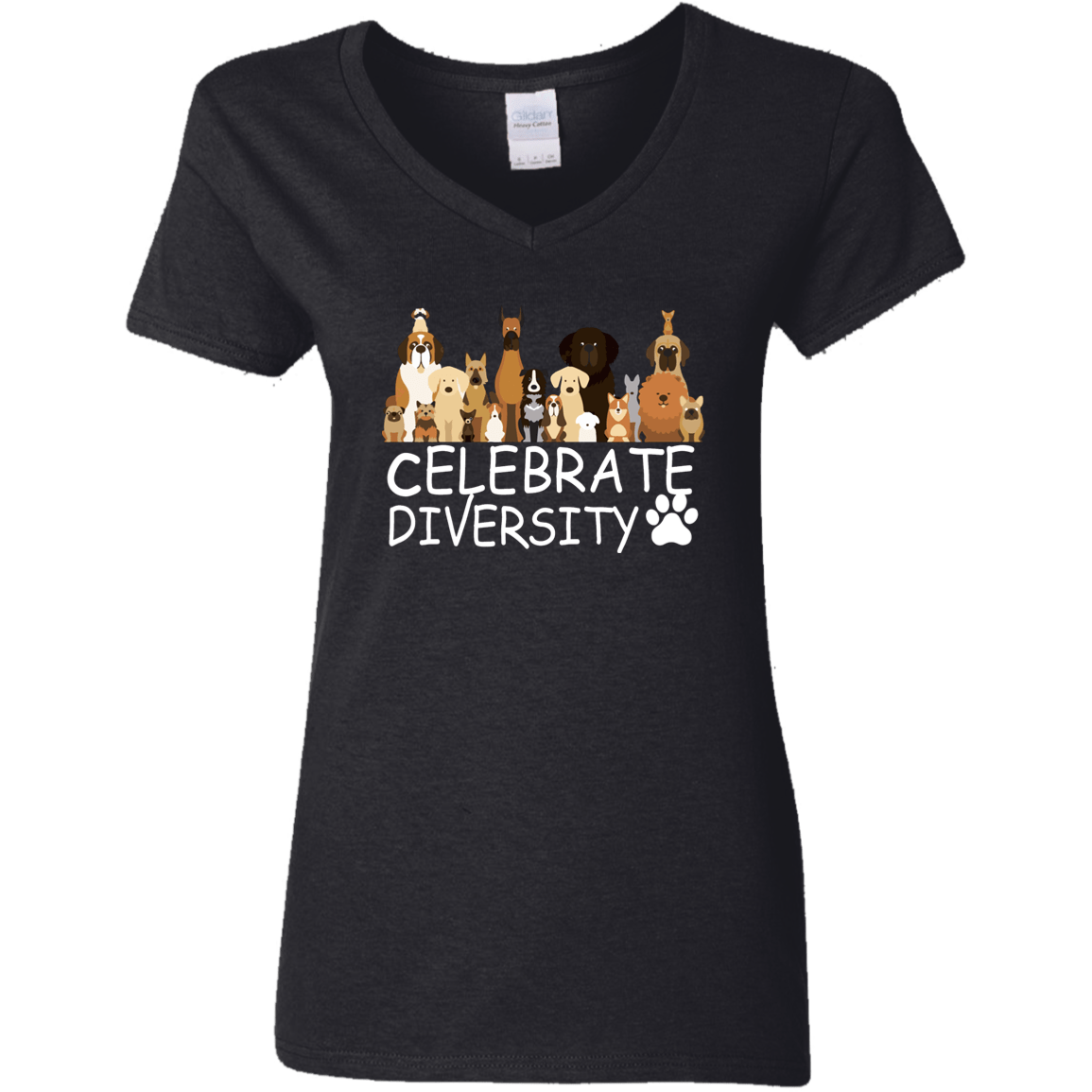 Celebrate Diversity - Ladies V Neck.
