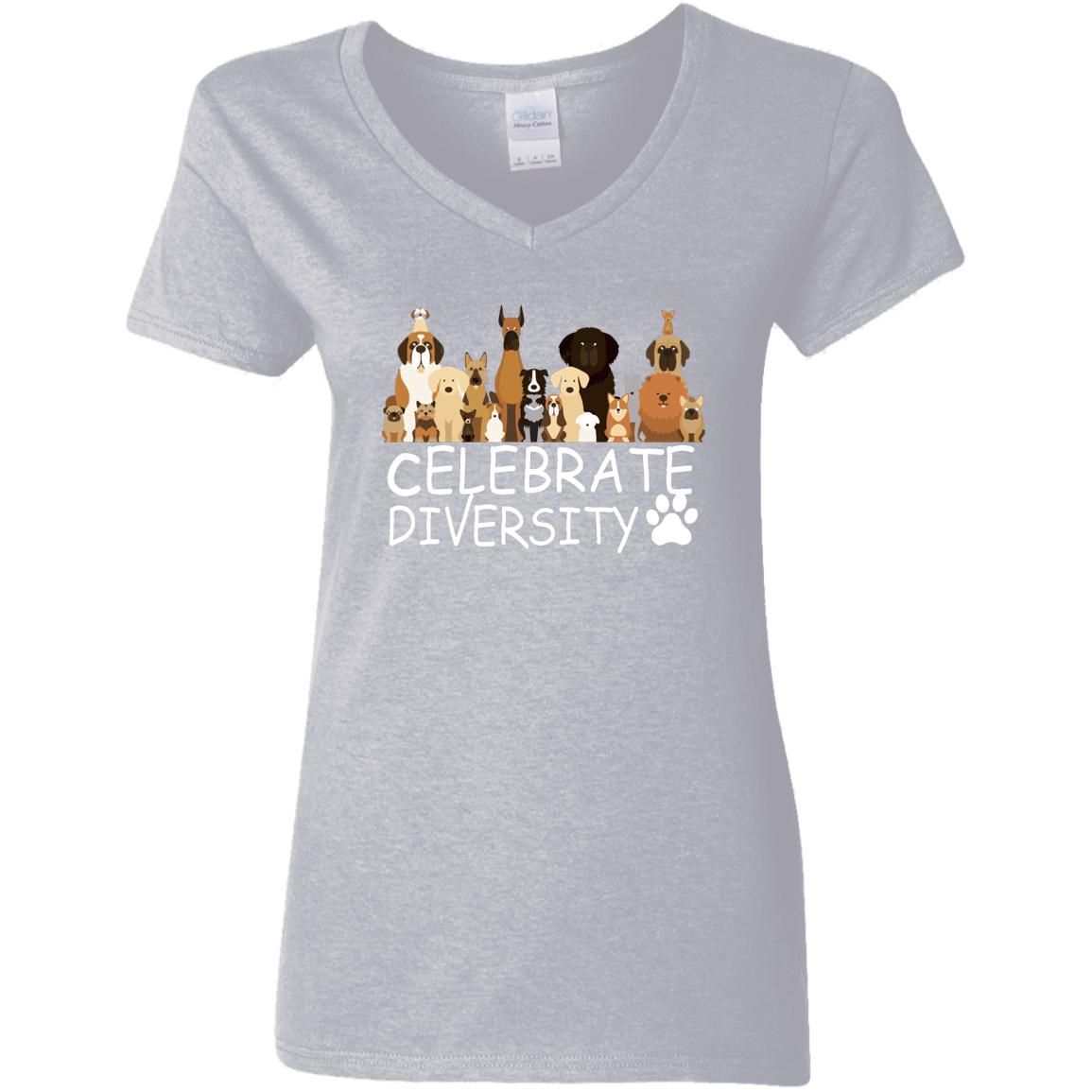 Celebrate Diversity - Ladies V Neck.