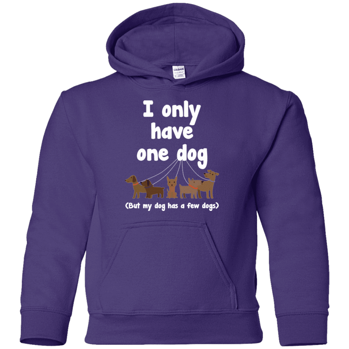 I Only Have 1 Dog - Youth Hoodie.