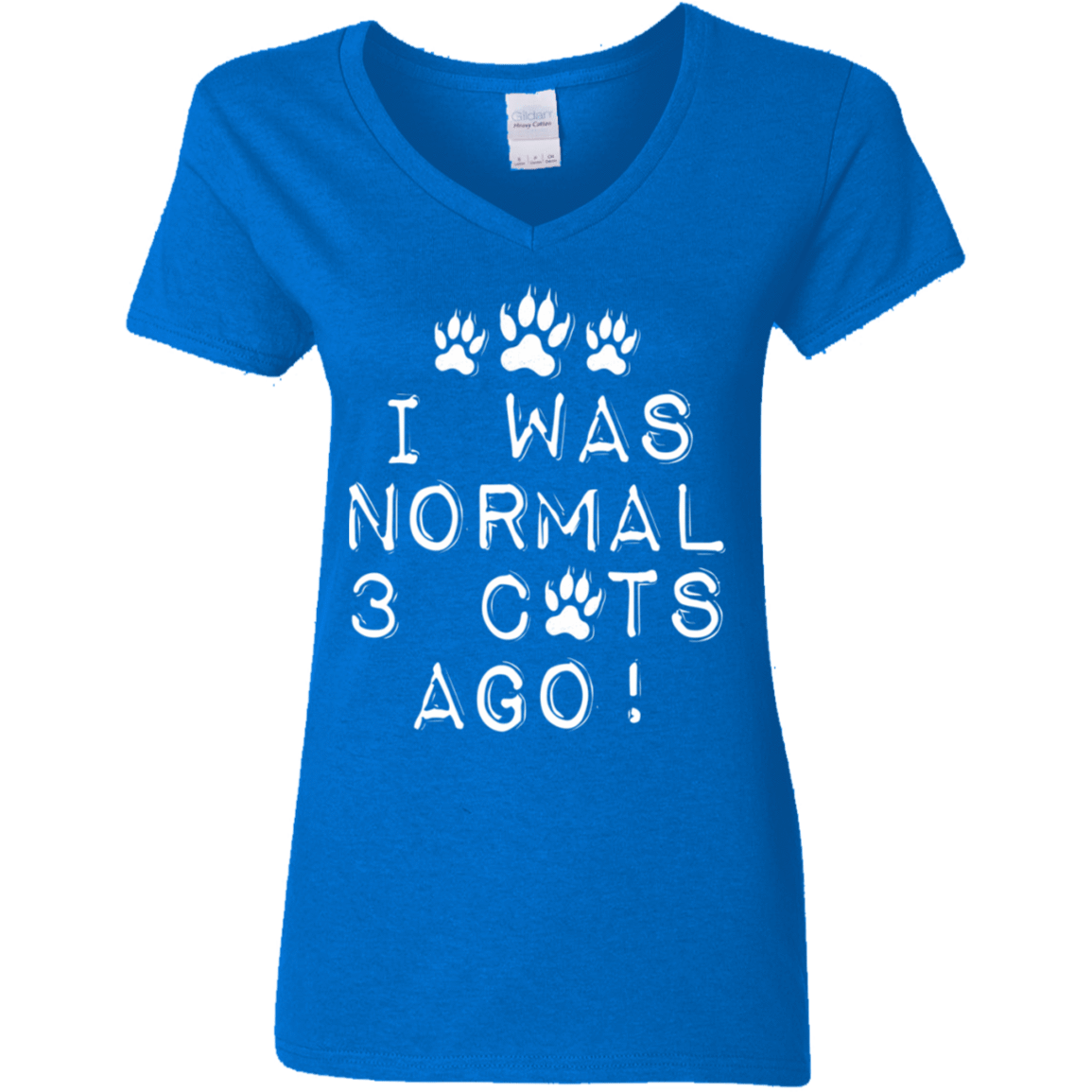 I Was Normal Cats - Ladies V Neck.