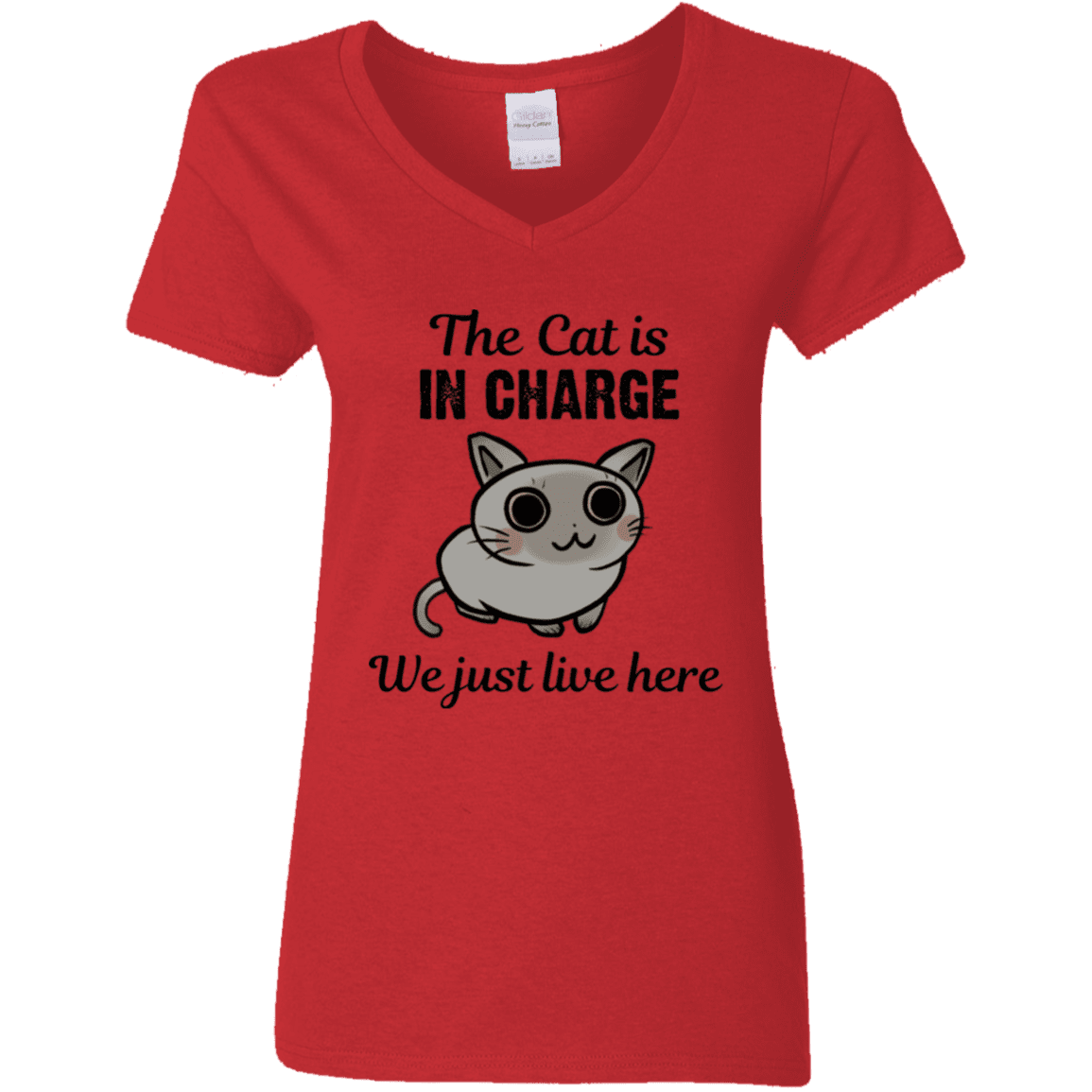The Cat is in Charge -  Ladies V-Neck.