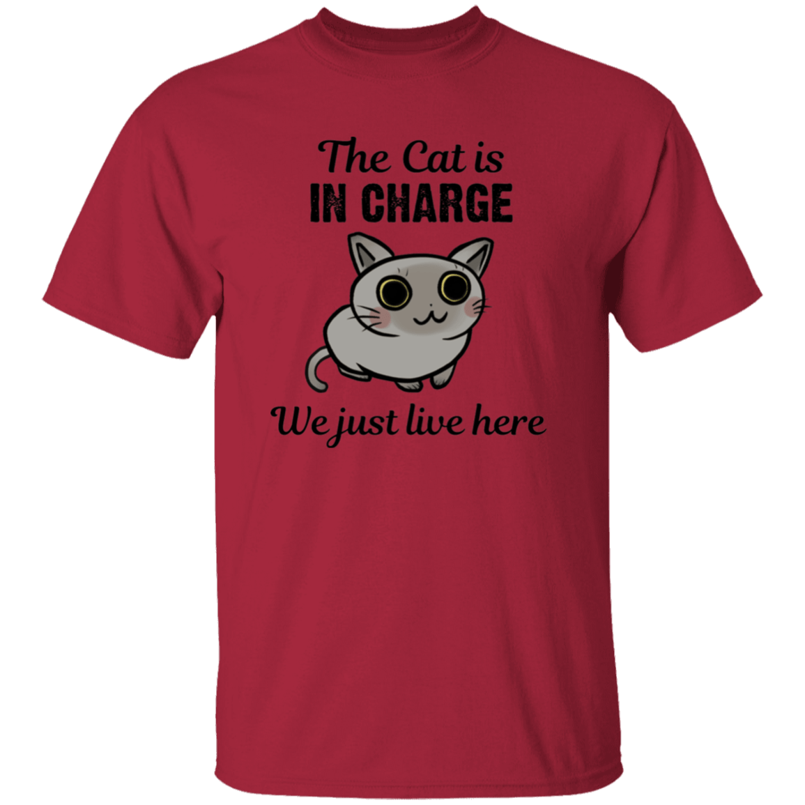 The Cat is in Charge - Youth T-Shirt.